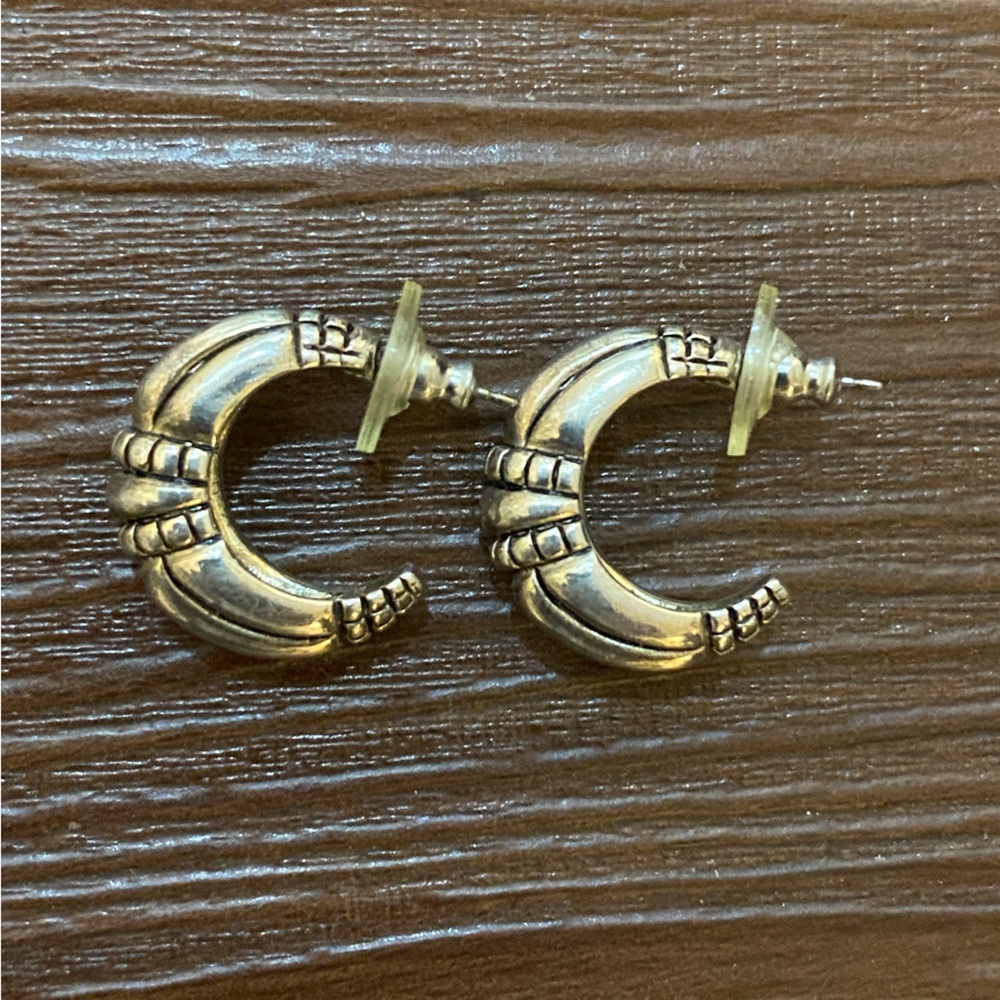 Premier Designs La Vista Silver Plated Hoop Earrings